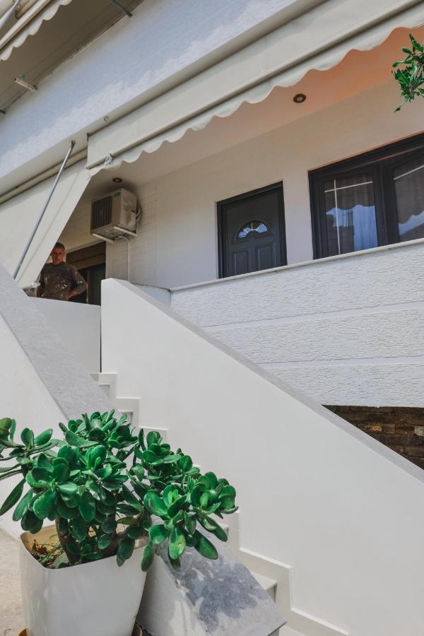 Vila Fredi คซามิล ภายนอก รูปภาพ