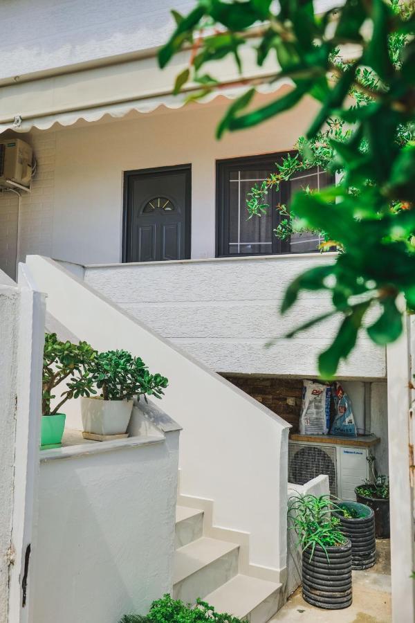 Vila Fredi คซามิล ภายนอก รูปภาพ